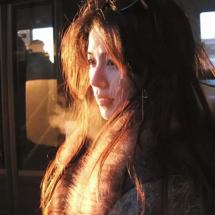 我的野蛮女友2:蛮风再现